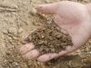 hand-sand-farm-produce-mud-soil-877751-pxhere.com__1666693753-640×320